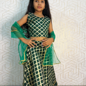 Emerald Grid Festive Lehenga Set