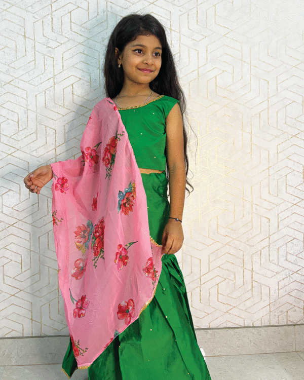 Gulbagh Grace: Green & Pink Lehenga Set - Image 2